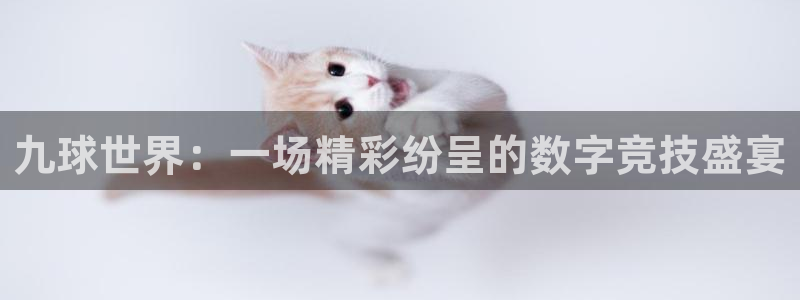 皇马直播吧：九球世界：一场精彩纷呈的数字竞技盛宴