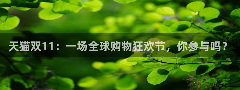 nba啊直播吧极速体育：天猫双11：一场全球购物狂欢节，你参与吗？