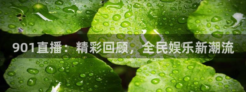 24小时体育直播吧：901直播：精彩回顾，全民娱乐新潮流