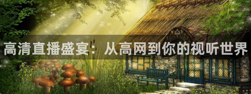 006体育直播吧：高清直播盛宴：从高网到你的视听世界