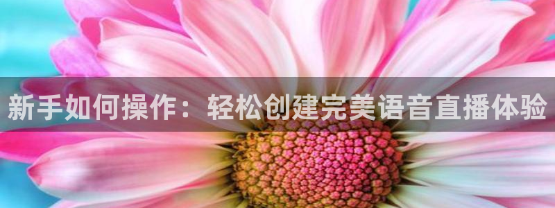 nba体育直播吧：新手如何操作：轻松创建完美语音直播体验