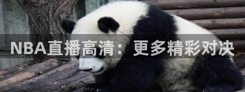 nba直播在线观看直播吧：NBA直播高清：更多精彩对决