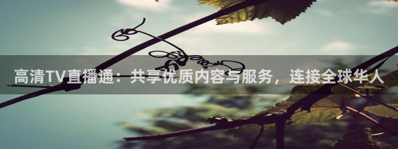jrs低调看高清直播吧直播：高清TV直播通：共享优质内容与服务，连接全球华人