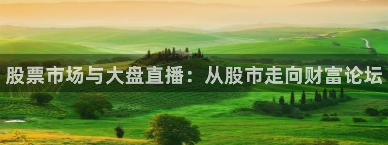 nba直播吧官网：股票市场与大盘直播：从股市走向财富论坛